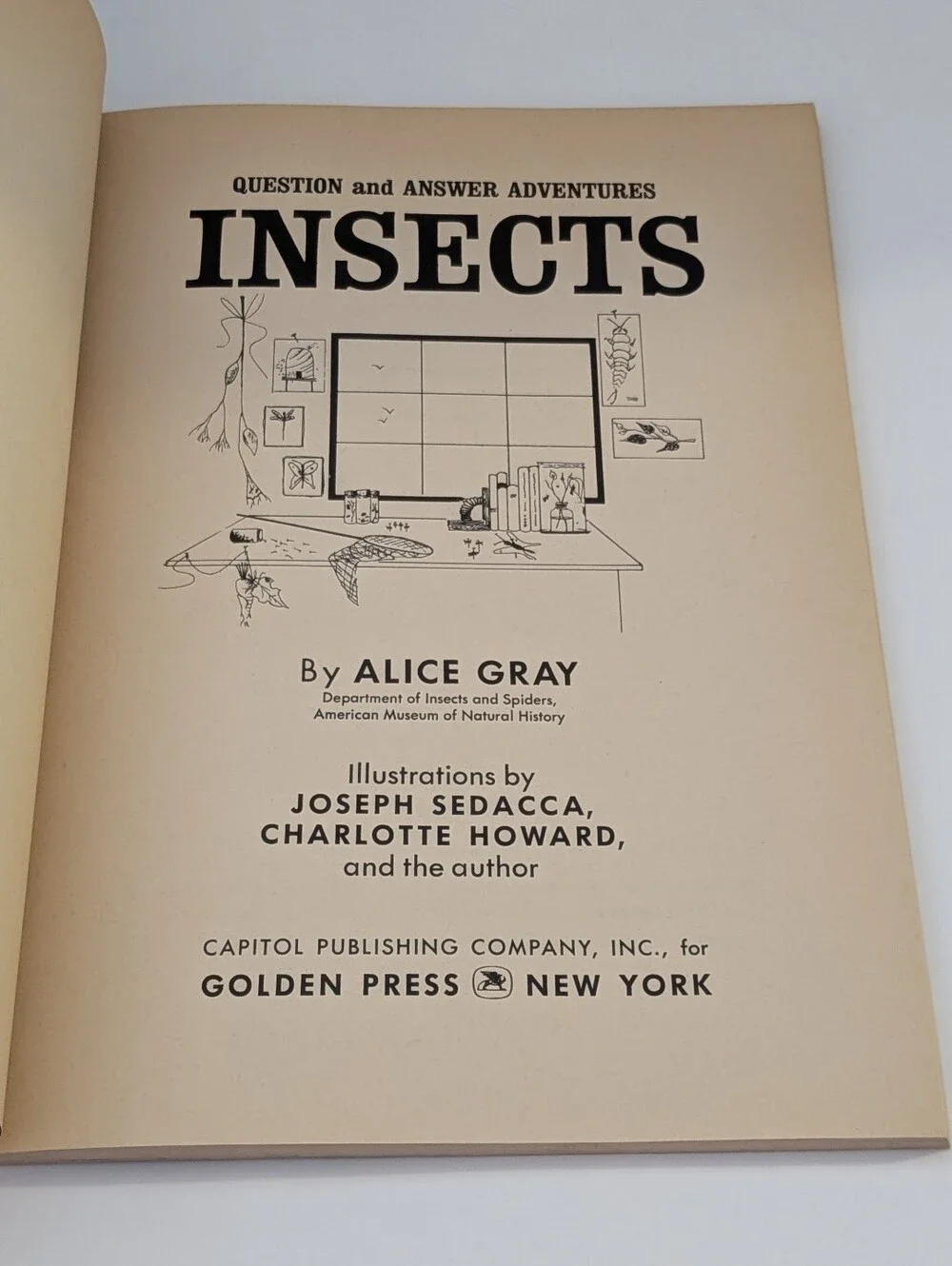Question and Answer Adventures - Insects *A Vintage Golden Book*